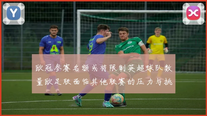 欧冠参赛名额或将限制英超球队数量欧足联面临其他联赛的压力与挑战