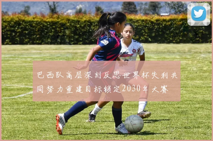 巴西队高层深刻反思世界杯失利共同努力重建目标锁定2030年大赛